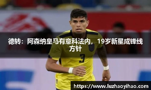 2026fifa世界杯